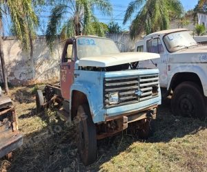 Veiculo em leilao em Brasil