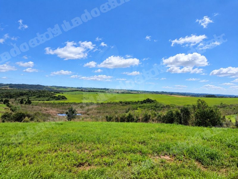Imóvel rural em leilão em Candelária/RS - Lote 2