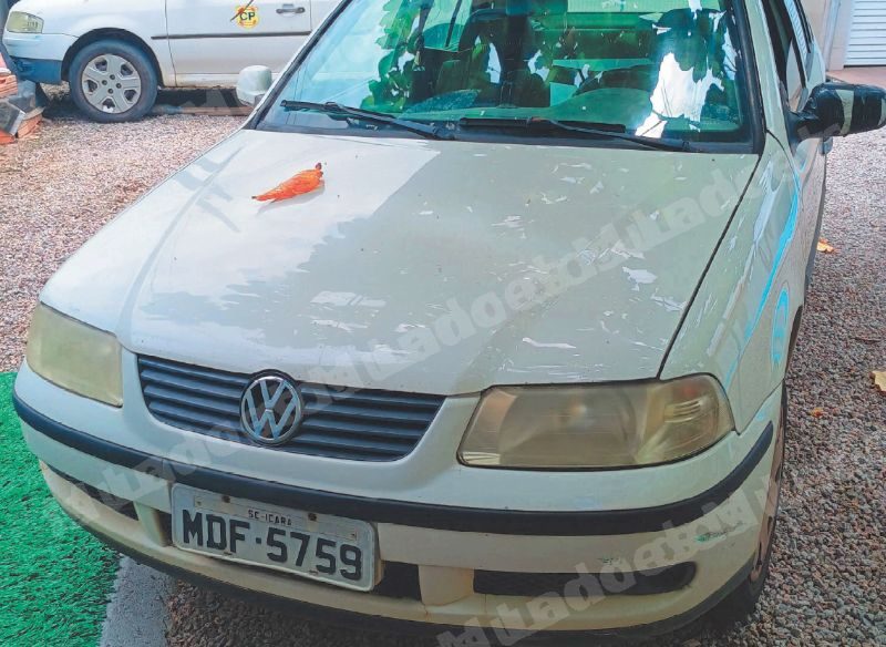 Vw em leilao em Balneário Rincão/SC