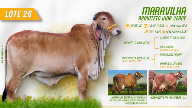 Lote em leilão em Jales/SP - Lote 29