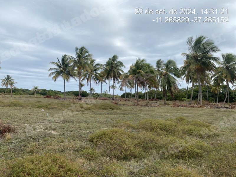 Terreno em leilao em As Condições Aplicáveis À Aquisição/SE