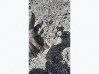 Lote em leilao em Brasil