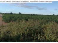 Terreno em leilao em Araripina/PE