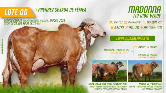 Imóvel em leilão em Jales/SP - Lote 3