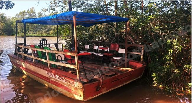 Lote em leilao em Brasil - Lote 1346