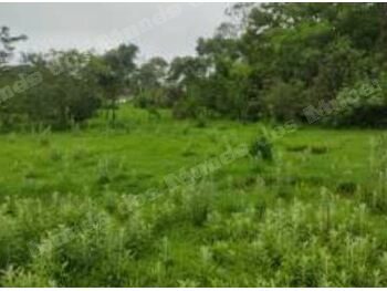 Imovel em leilao em Cidade Ocidental/GO