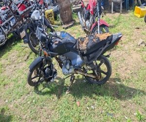 Lote em leilão em Brasil - Lote 281