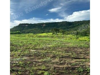 Lote em leilao em Rio Verde/GO