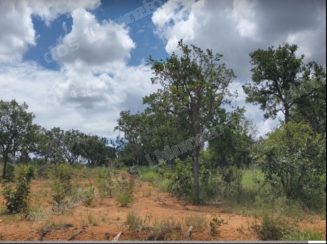 Terreno em leilão em Caetanópolis/MG - Lote 161