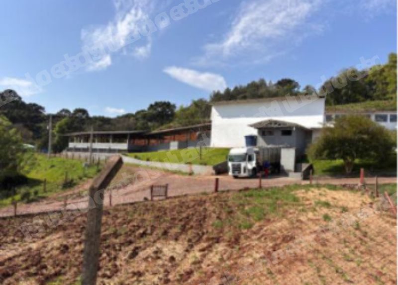 Imóvel em leilão em Francisco Beltrão/PR - Lote 4