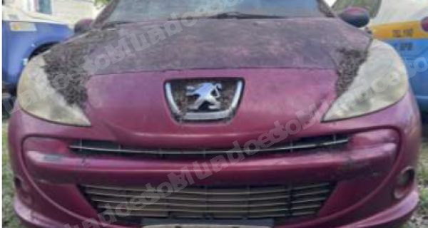 Peugeot em leilao em Jardim/MS
