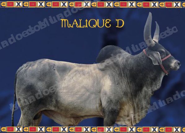 Lote em leilao em Brasil
