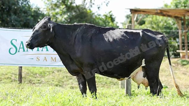Terreno em leilao em Cachoeiras de Macacu/RJ