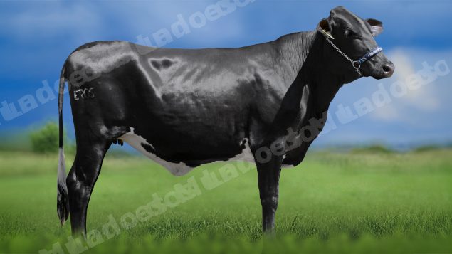 Lote em leilao em Igaratinga/MG - Lote 32