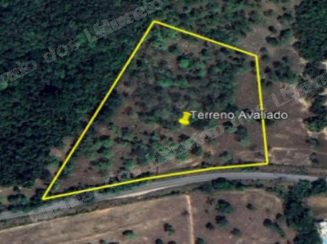 Imovel rural em leilao em Cajuru/MG