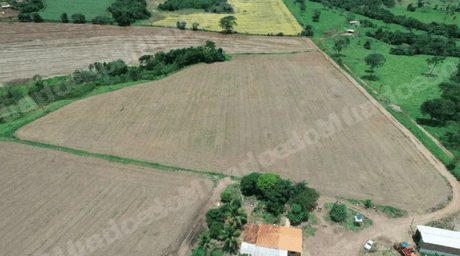 Terreno em leilao em Vianópolis/GO