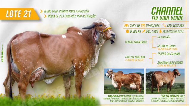 Lote em leilão em Jales/SP - Lote 30